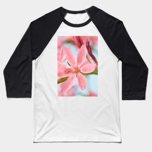 Hesperantha coccinea  &#39;Fenland Daybreak&#39;  Crimson flag lily  Syn.  Schizostylis coccinea  &#39;Fenland Daybreak&#39; Baseball T-Shirt